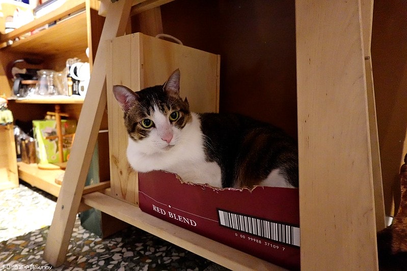 鹿草美食酒窩小姊sunny in 幕後咖啡