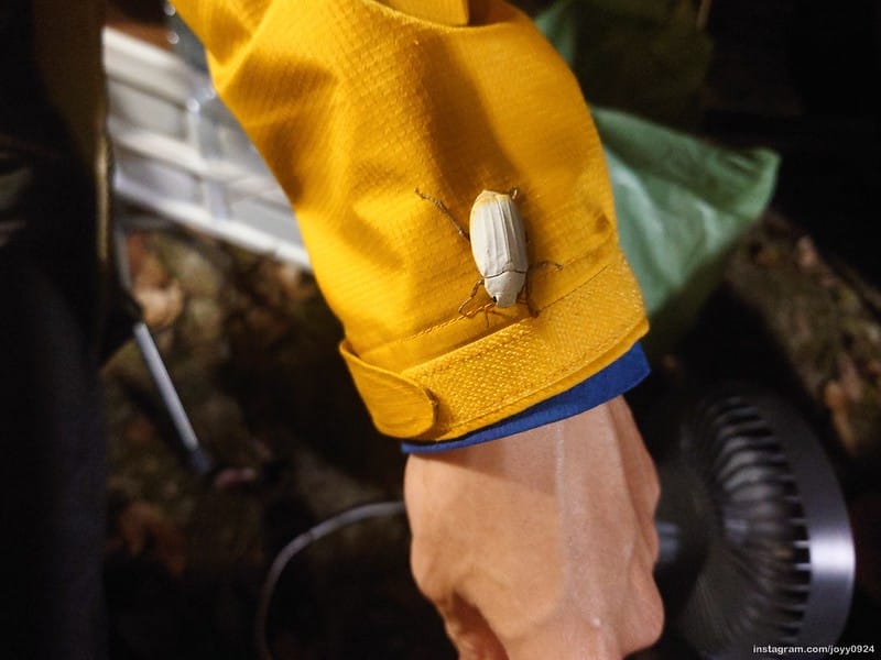 野營中｜2023513神山露營 photo by instagram.com/joyy0924