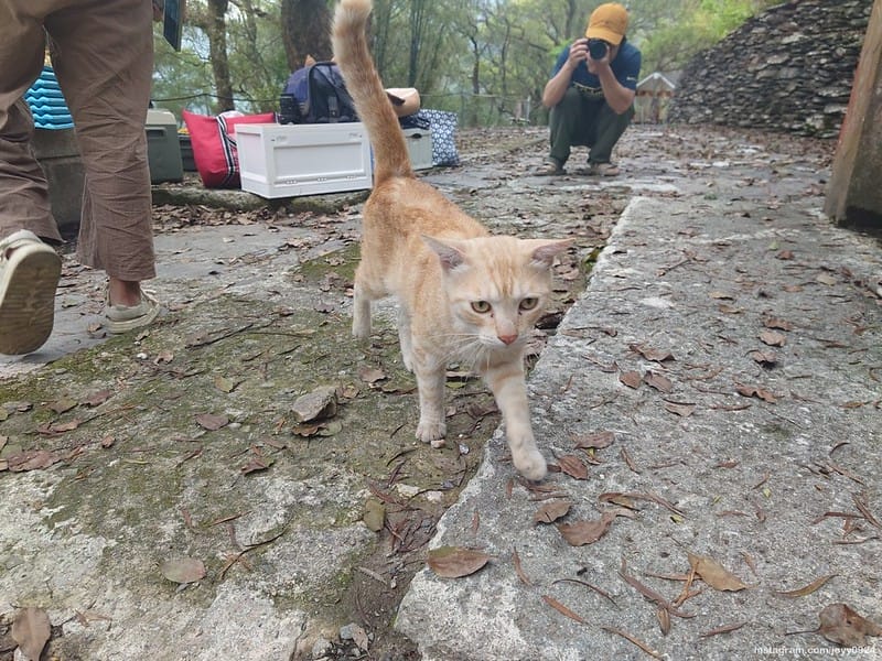 野營中｜2023513神山露營 photo by instagram.com/joyy0924