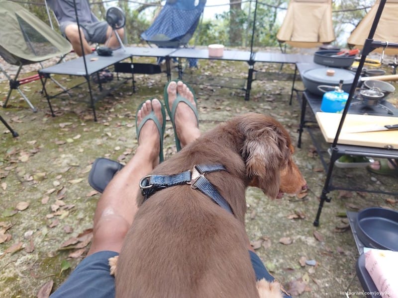 野營中｜2023513神山露營 photo by instagram.com/joyy0924