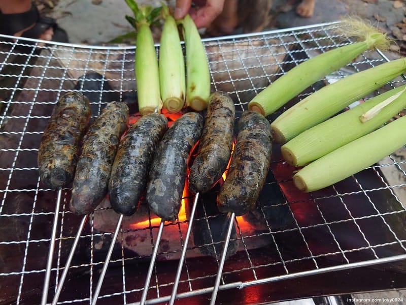 野營中｜2023513神山露營 photo by instagram.com/joyy0924