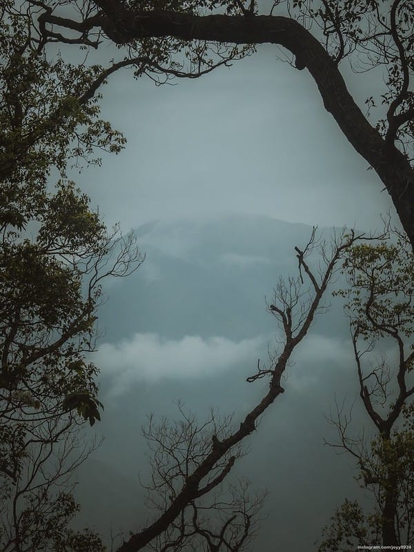 野營中｜2023513神山露營 photo by instagram.com/joyy0924