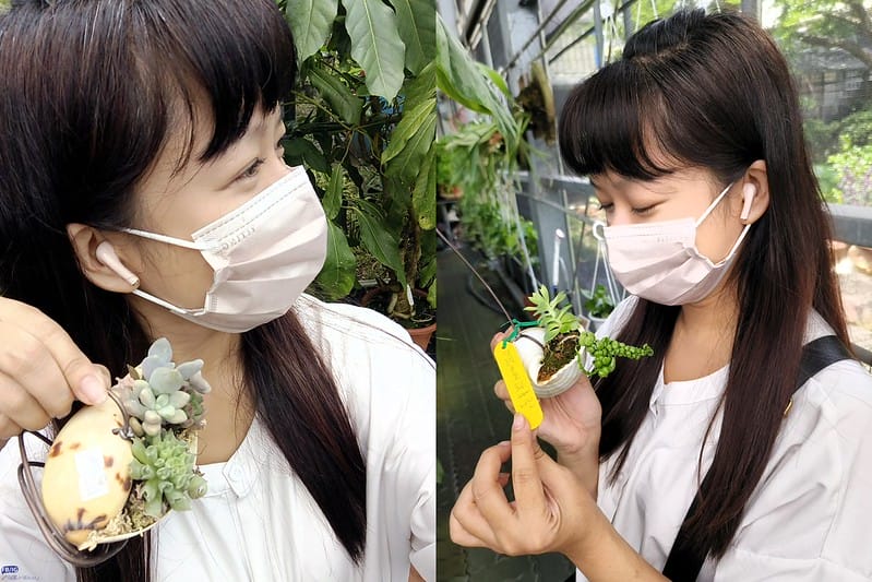 開箱｜iWALK 鵝卵石 藍芽耳機