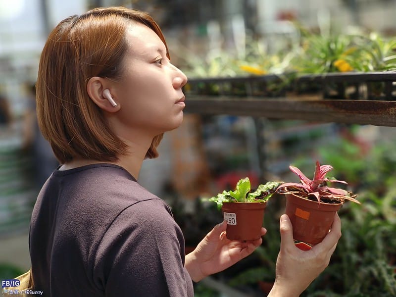 開箱｜iWALK 鵝卵石 藍芽耳機