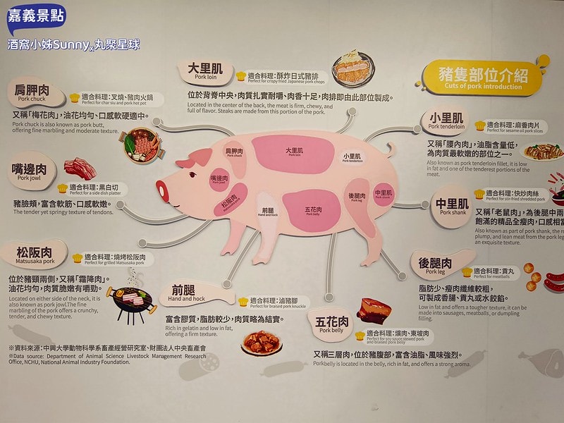 嘉義景點/嘉義雨天備案景點/嘉義新景點/丸聚星球