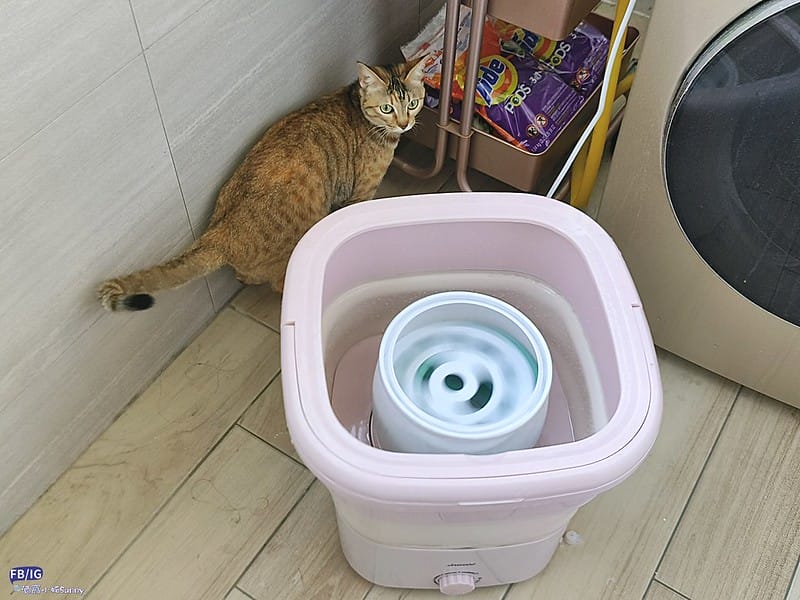 多功能清洗機／迷你洗衣機