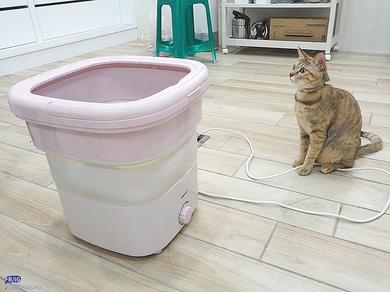 多功能清洗機／迷你洗衣機