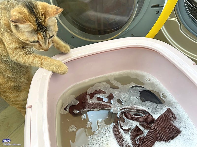 多功能清洗機／迷你洗衣機