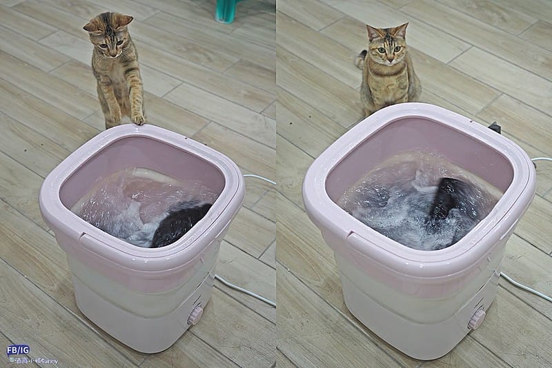 多功能清洗機／迷你洗衣機