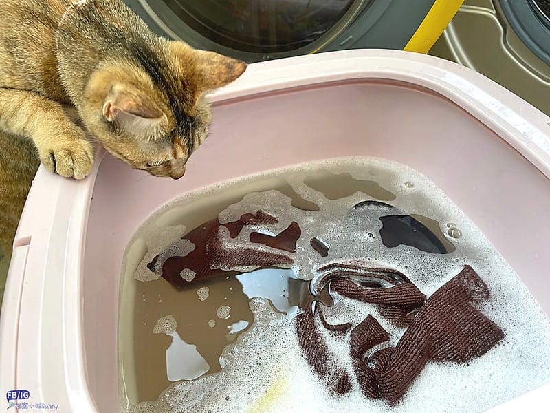 多功能清洗機／迷你洗衣機