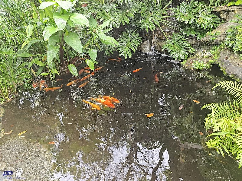 屏東私房景點(美食)旁聽席,創意料理/咖啡