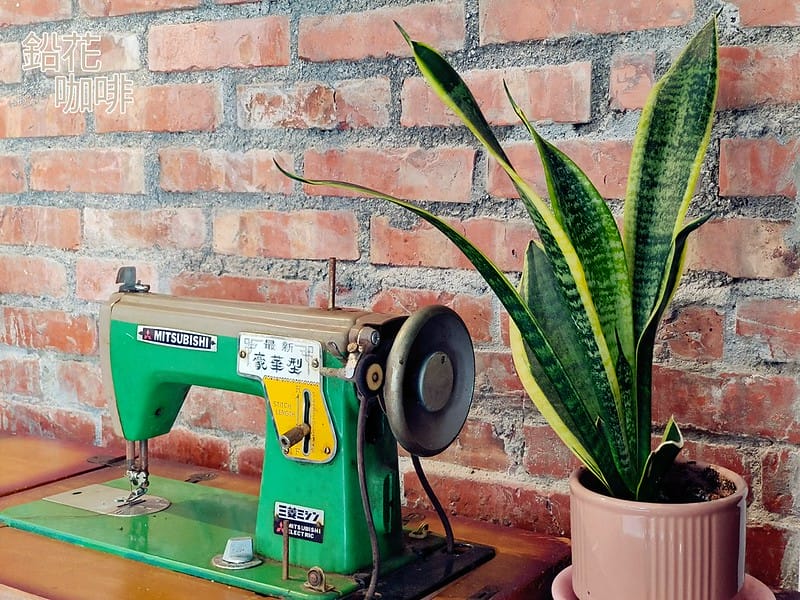 隱藏在鄉村裡の鉛花咖啡