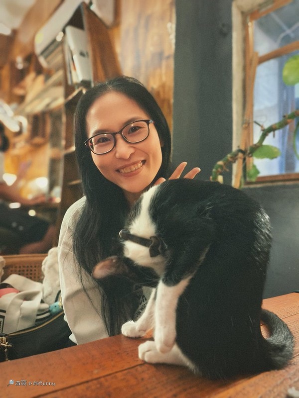 嘉義咖啡廳IN COFFEE—貓咪咖啡廳開到凌晨一點的嘉義咖啡廳,幸運的話同場有7隻貓咪相伴