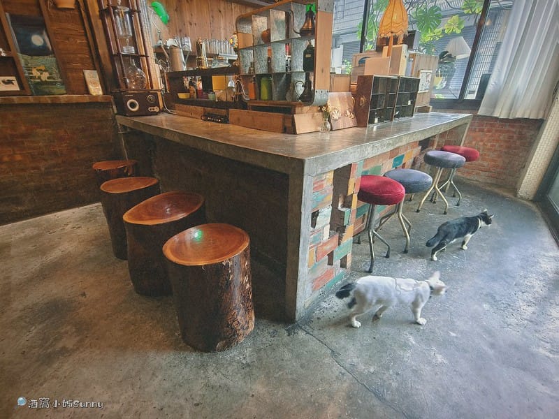 嘉義咖啡廳｜IN COFFEE︱貓咪咖啡廳｜開到凌晨一點的嘉義咖啡廳，幸運的話同場有７隻貓咪相伴