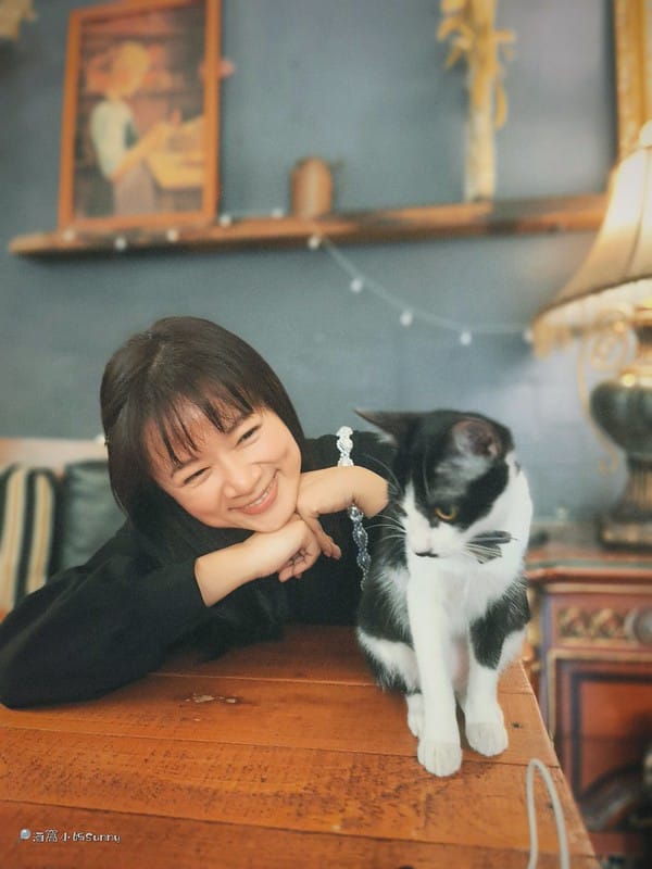 嘉義咖啡廳｜IN COFFEE︱貓咪咖啡廳｜開到凌晨一點的嘉義咖啡廳，幸運的話同場有７隻貓咪相伴