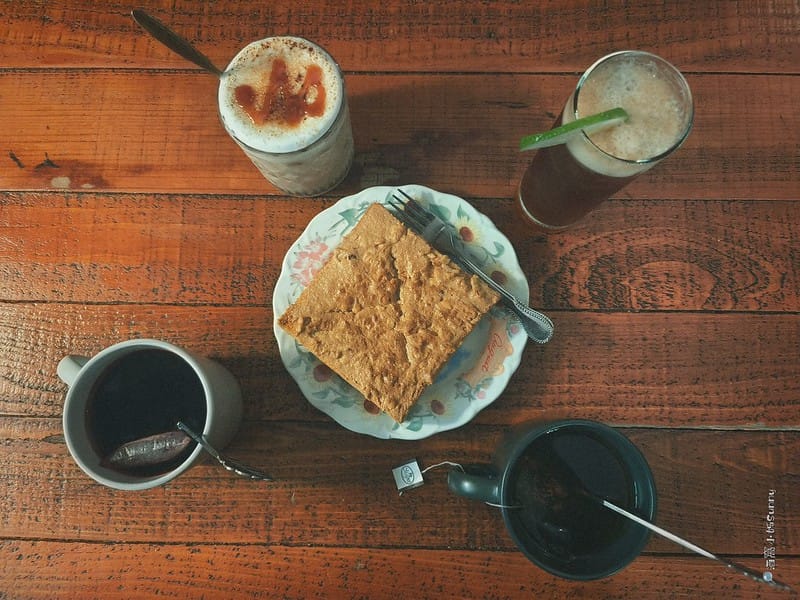 嘉義咖啡廳｜IN COFFEE︱貓咪咖啡廳｜開到凌晨一點的嘉義咖啡廳，幸運的話同場有７隻貓咪相伴