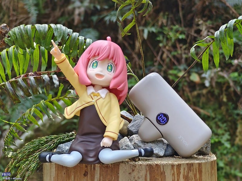 2024年,當然就是要登上海拔2024的橫嶺山呀!橫嶺山步道,超親民,難度僅2顆星