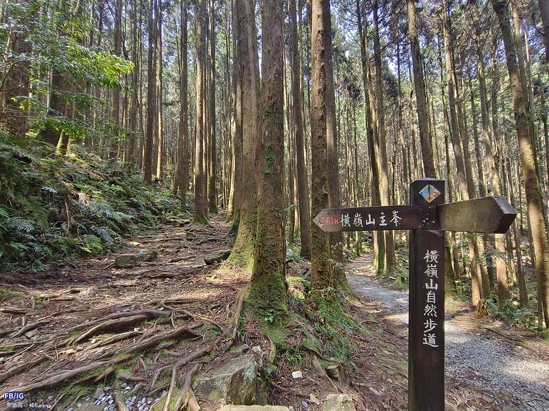 2024年,當然就是要登上海拔2024的橫嶺山呀!橫嶺山步道,超親民,難度僅2顆星