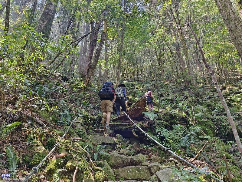 2024年,當然就是要登上海拔2024的橫嶺山呀!橫嶺山步道,超親民,難度僅2顆星