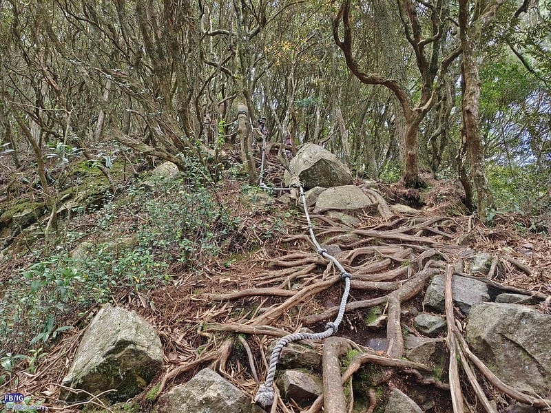 2024年,當然就是要登上海拔2024的橫嶺山呀!橫嶺山步道,超親民,難度僅2顆星