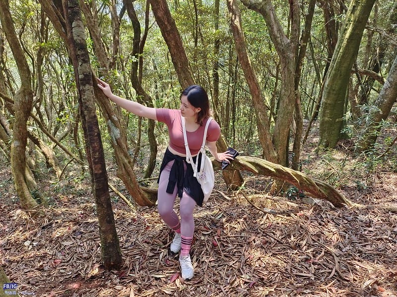 2024年,當然就是要登上海拔2024的橫嶺山呀!橫嶺山步道,超親民,難度僅2顆星