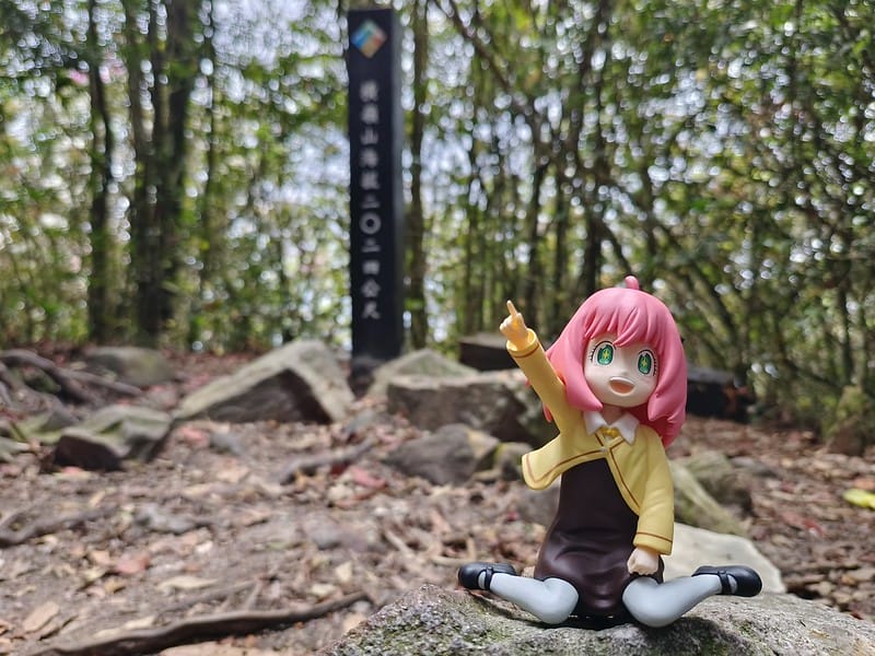 2024年,當然就是要登上海拔2024的橫嶺山呀!橫嶺山步道,超親民,難度僅2顆星