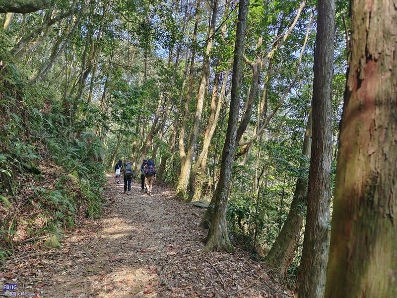 2024年,當然就是要登上海拔2024的橫嶺山呀!橫嶺山步道,超親民,難度僅2顆星