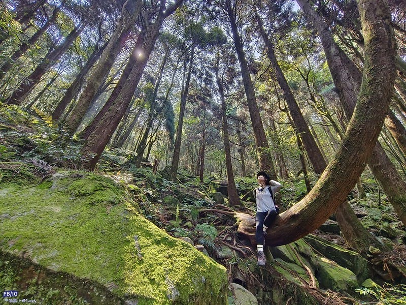 2024年,當然就是要登上海拔2024的橫嶺山呀!橫嶺山步道,超親民,難度僅2顆星