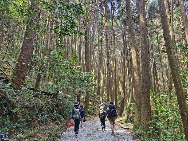 2024年,當然就是要登上海拔2024的橫嶺山呀!橫嶺山步道,超親民,難度僅2顆星