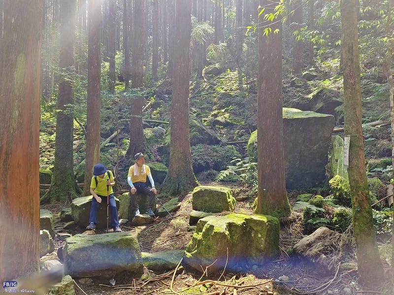 2024年,當然就是要登上海拔2024的橫嶺山呀!橫嶺山步道,超親民,難度僅2顆星