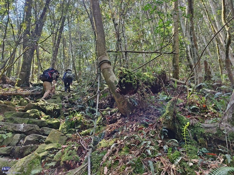 2024年,當然就是要登上海拔2024的橫嶺山呀!橫嶺山步道,超親民,難度僅2顆星