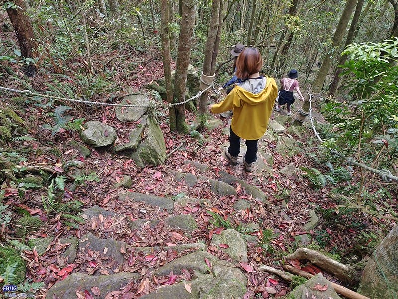 2024年,當然就是要登上海拔2024的橫嶺山呀!橫嶺山步道,超親民,難度僅2顆星