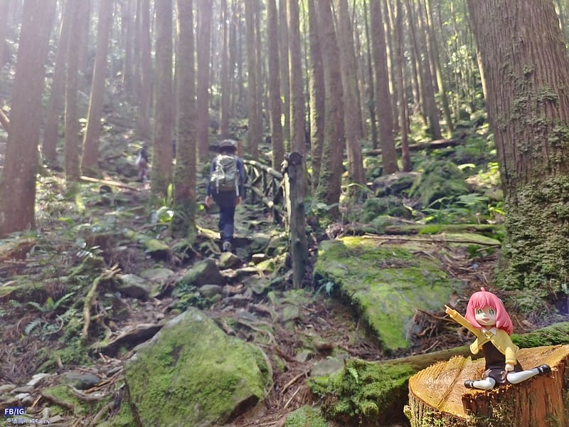2024年,當然就是要登上海拔2024的橫嶺山呀!橫嶺山步道,超親民,難度僅2顆星