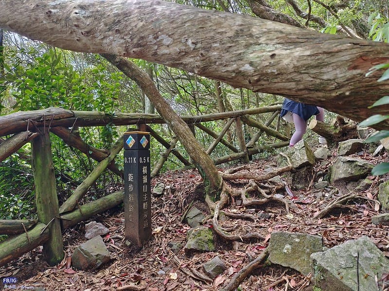 2024年,當然就是要登上海拔2024的橫嶺山呀!橫嶺山步道,超親民,難度僅2顆星