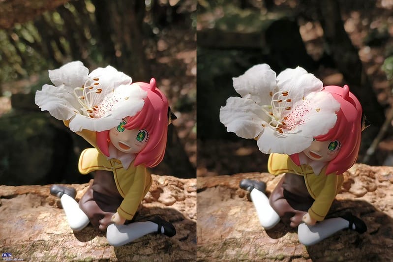 2024年,當然就是要登上海拔2024的橫嶺山呀!橫嶺山步道,超親民,難度僅2顆星