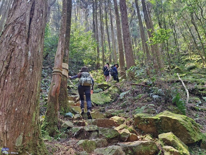 2024年,當然就是要登上海拔2024的橫嶺山呀!橫嶺山步道,超親民,難度僅2顆星