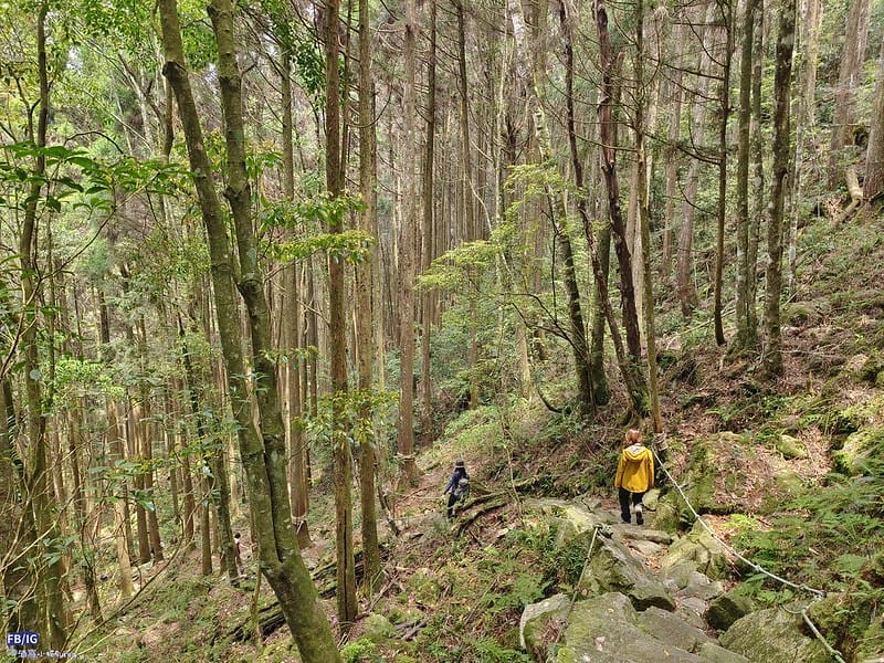 2024年,當然就是要登上海拔2024的橫嶺山呀!橫嶺山步道,超親民,難度僅2顆星