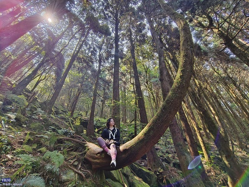 2024年,當然就是要登上海拔2024的橫嶺山呀!橫嶺山步道,超親民,難度僅2顆星