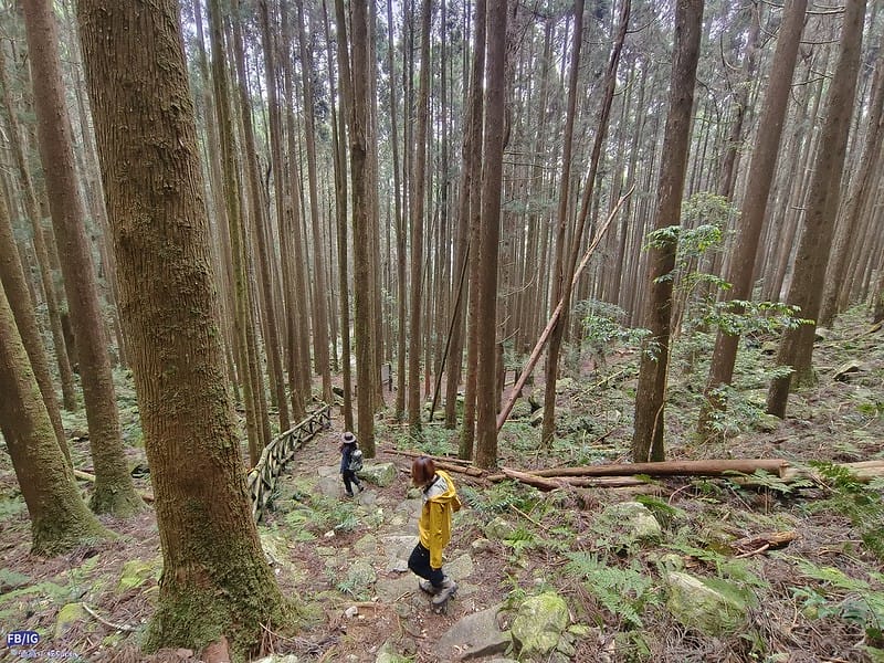 2024年,當然就是要登上海拔2024的橫嶺山呀!橫嶺山步道,超親民,難度僅2顆星