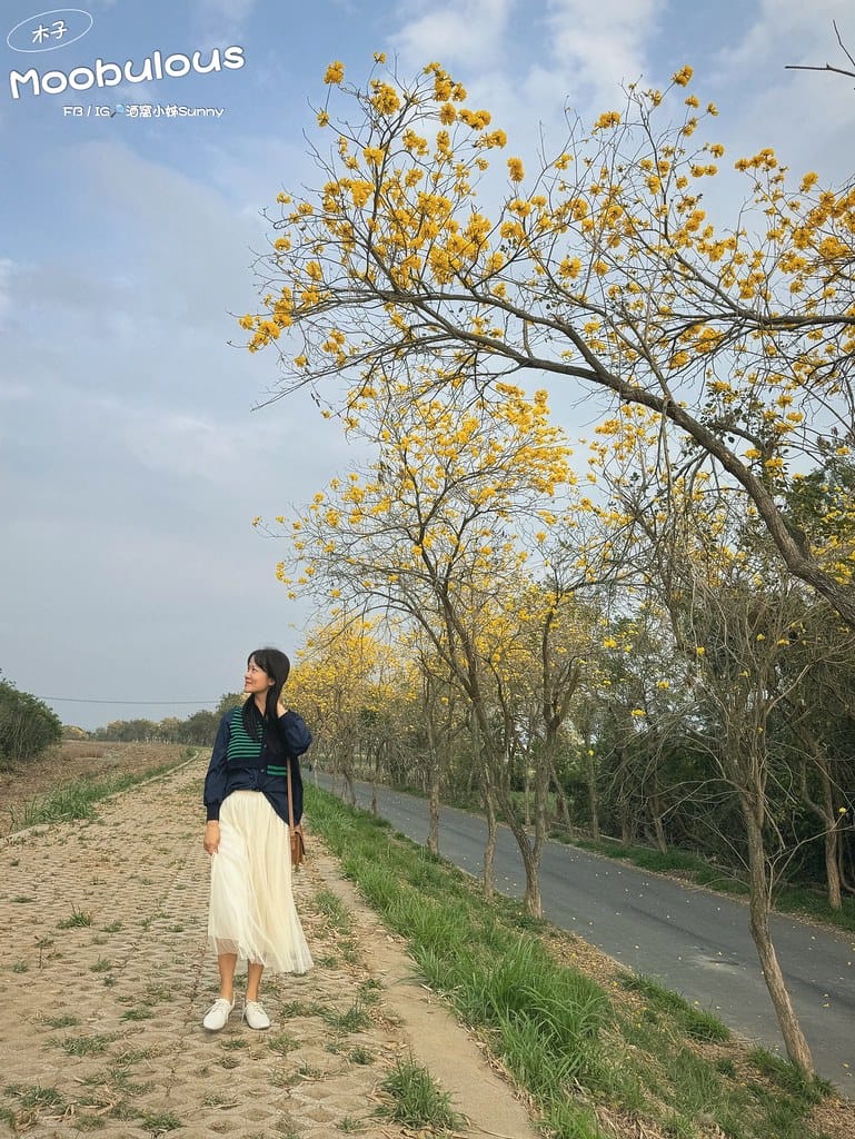 【moobulous木子】台灣手工真皮氣墊平底鞋