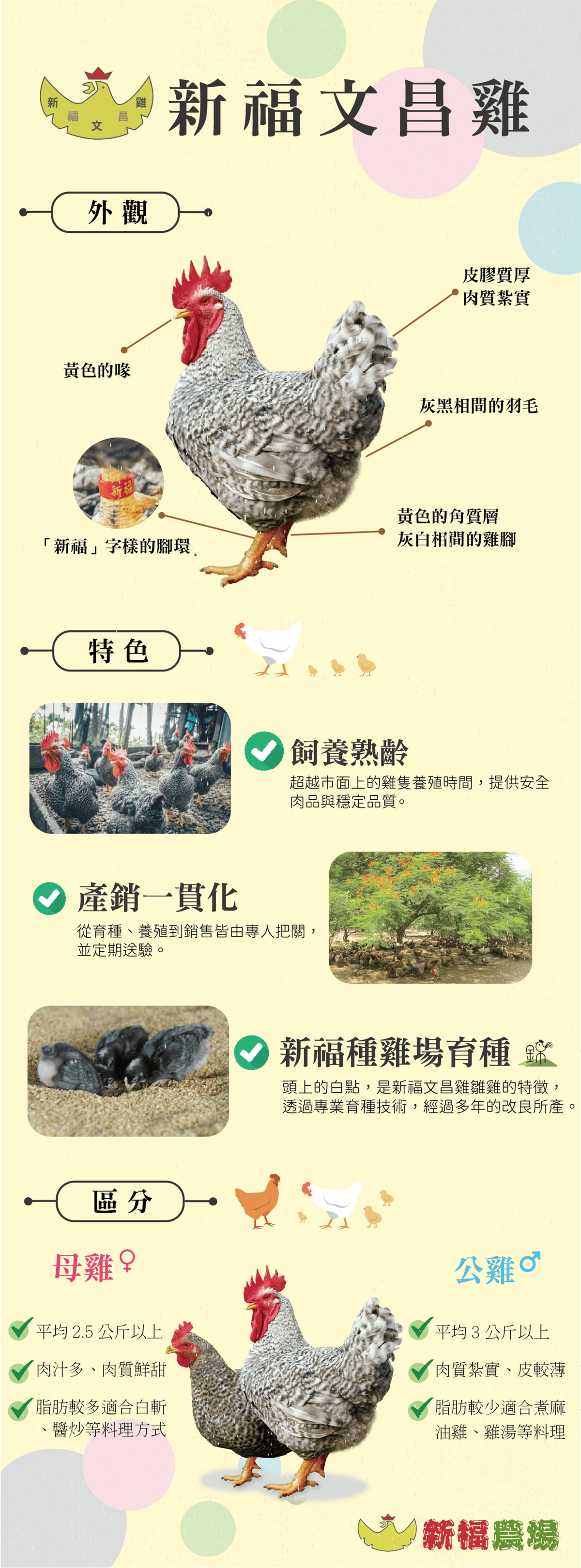 竹崎美食｜藏在新福農場裡的幸福餐廳,提供美味的文昌雞料理,適合:家庭聚餐,約會吃飯的好地方亦是獨立山下山後的用餐好選擇