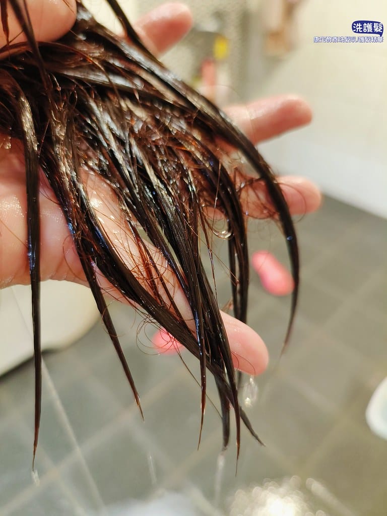 開箱＆團購推薦｜台灣首創 大蒜酵素植萃洗髮乳