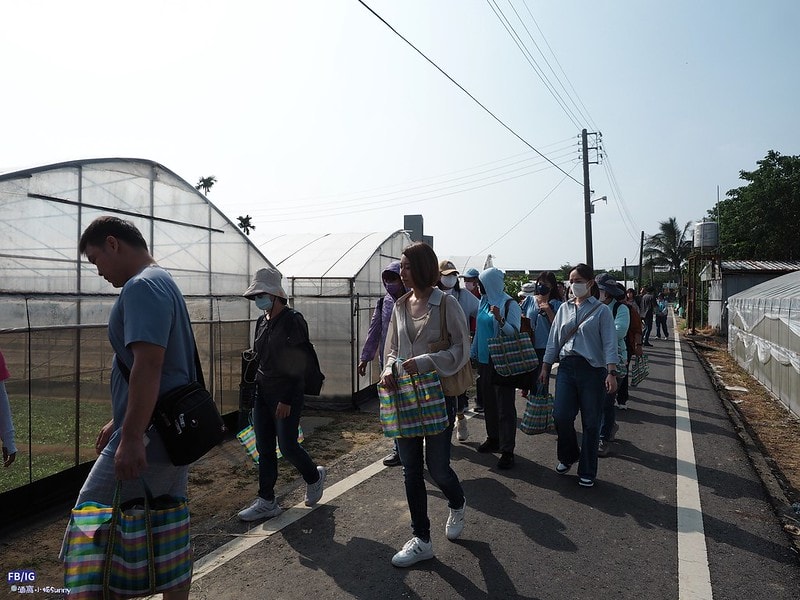 新港鄉一日食農體驗遊程,青青菜菜一把抓之大人小孩都適合的親子農遊趣