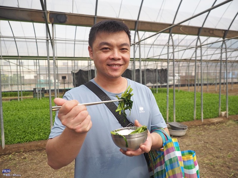 新港鄉一日食農體驗遊程,青青菜菜一把抓之大人小孩都適合的親子農遊趣