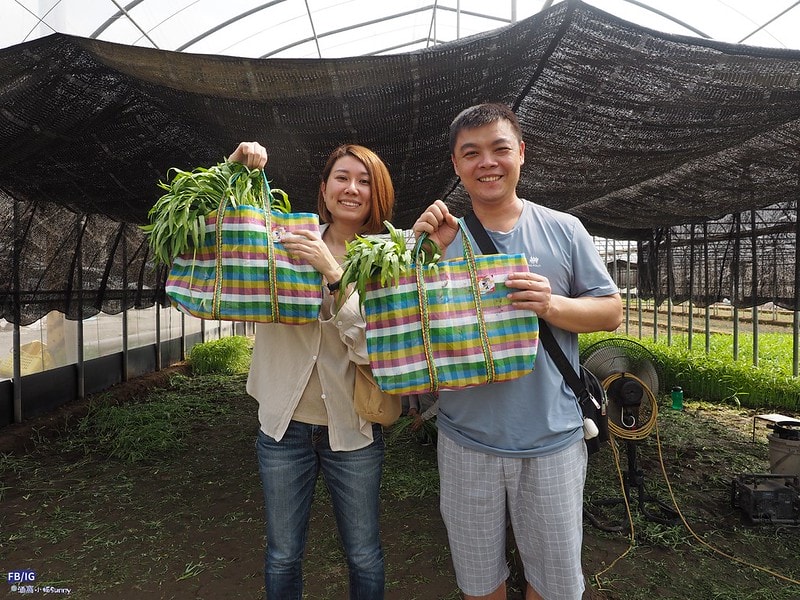 新港鄉一日食農體驗遊程,青青菜菜一把抓之大人小孩都適合的親子農遊趣