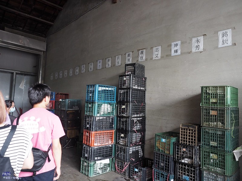 新港鄉一日食農體驗遊程,青青菜菜一把抓之大人小孩都適合的親子農遊趣