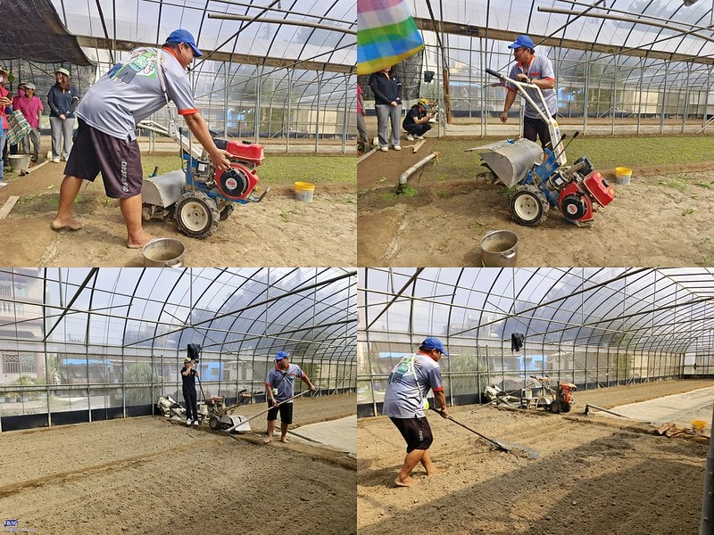 新港鄉一日食農體驗遊程,青青菜菜一把抓之大人小孩都適合的親子農遊趣