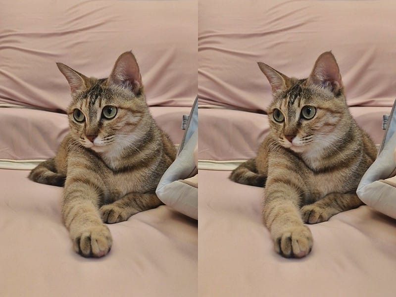 寢具篇|青鳥家居 奶蓋被 床包枕套組