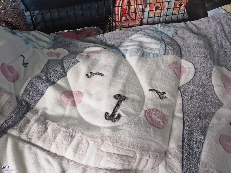 嘉義欣泰寢具年終特賣會