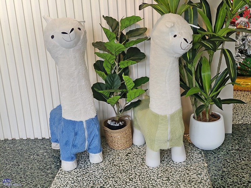 天啊 鄉下也能吃到烏克蘭料理了? 說說咖啡Shuo-Shuo Cafe